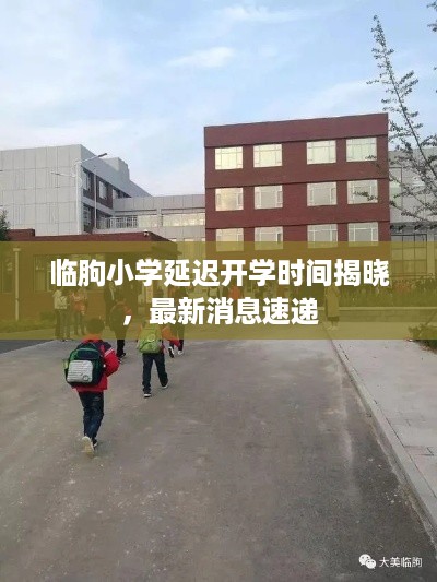 临朐小学延迟开学时间揭晓，最新消息速递