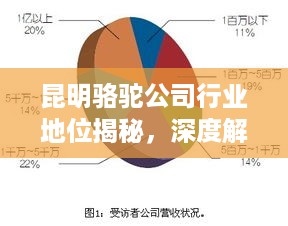 昆明骆驼公司行业地位揭秘，深度解析其排名与竞争力优势