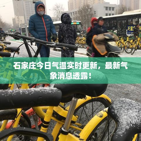 石家庄今日气温实时更新，最新气象消息透露！