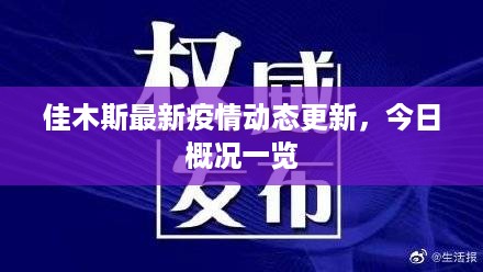 佳木斯最新疫情动态更新，今日概况一览