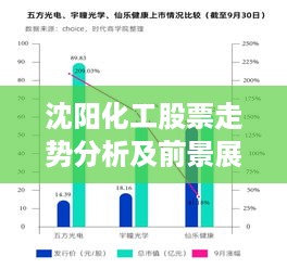 沈阳化工股票走势分析及前景展望