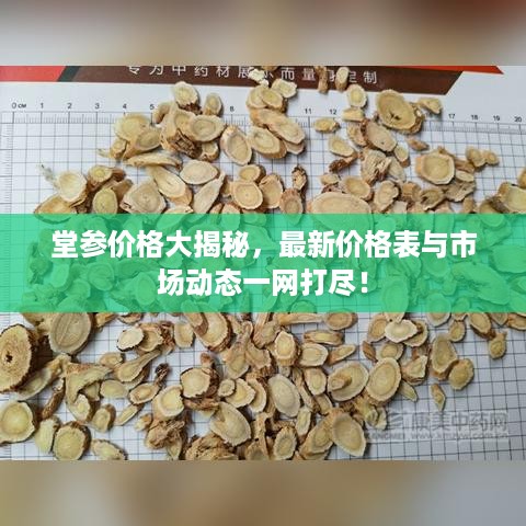 堂参价格大揭秘，最新价格表与市场动态一网打尽！