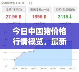 今日中国猪价格行情概览，最新报价与市场解析