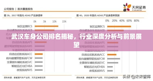 武汉车身公司排名揭秘，行业深度分析与前景展望