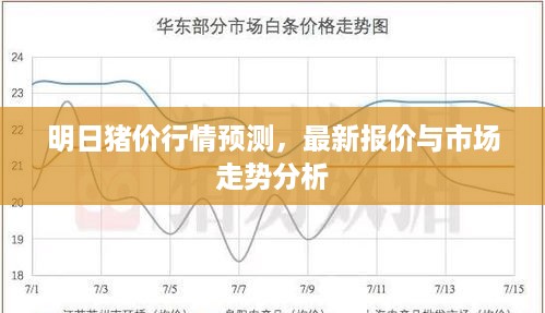 明日猪价行情预测，最新报价与市场走势分析