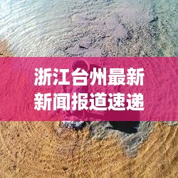 浙江台州最新新闻报道速递