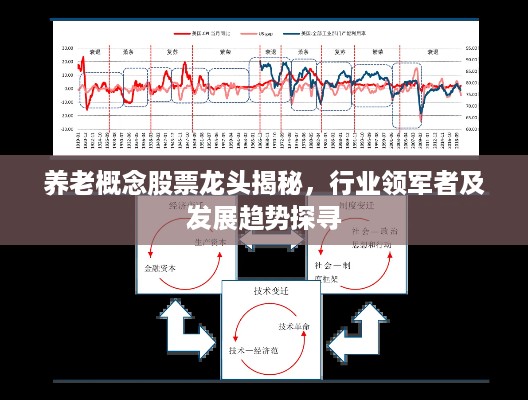 养老概念股票龙头揭秘，行业领军者及发展趋势探寻