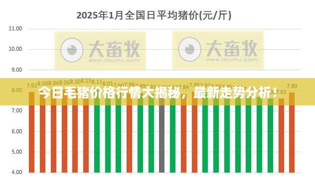 今日毛猪价格行情大揭秘，最新走势分析！