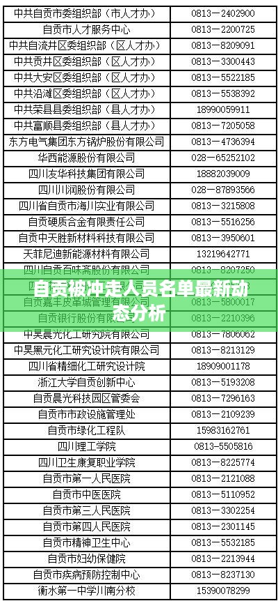 自贡被冲走人员名单最新动态分析