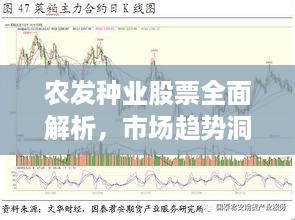 农发种业股票全面解析，市场趋势洞悉与投资机会展望