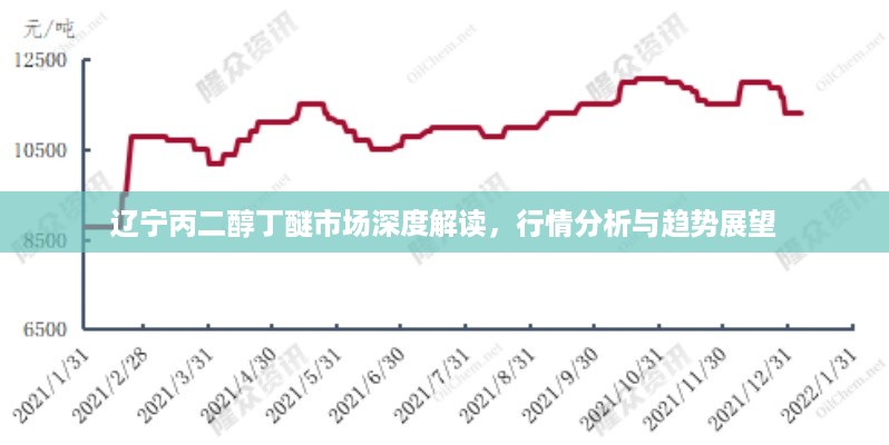 辽宁丙二醇丁醚市场深度解读，行情分析与趋势展望