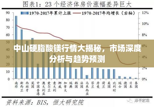 中山硬脂酸镁行情大揭秘，市场深度分析与趋势预测