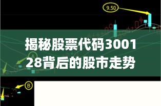 揭秘股票代码300128背后的股市走势与投资建议