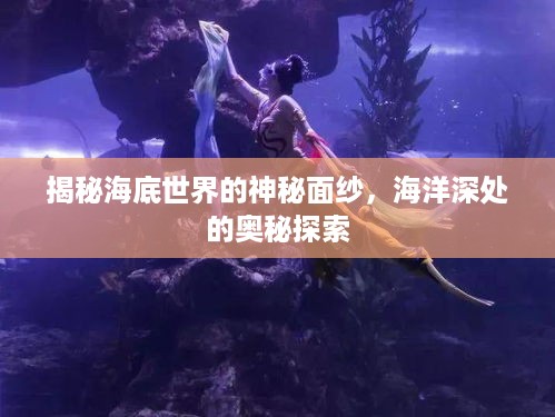 揭秘海底世界的神秘面纱，海洋深处的奥秘探索