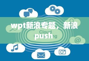 wpt新浪专题，新浪push 