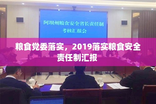 粮食党委落实，2019落实粮食安全责任制汇报 