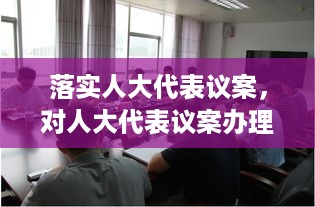 落实人大代表议案，对人大代表议案办理情况汇报 