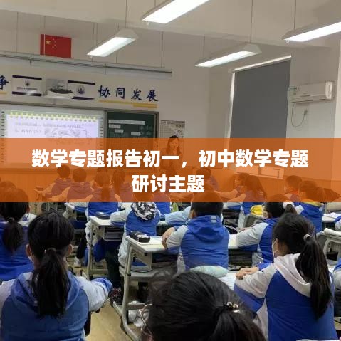 数学专题报告初一，初中数学专题研讨主题 