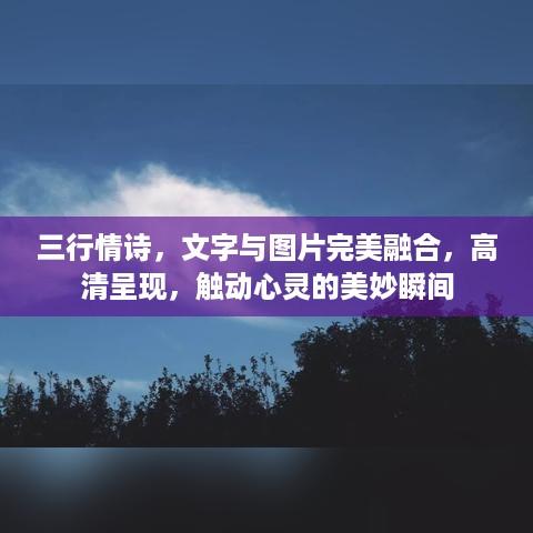 三行情诗，文字与图片完美融合，高清呈现，触动心灵的美妙瞬间