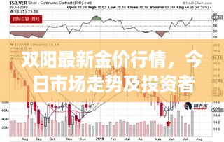 双阳最新金价行情，今日市场走势及投资者关注焦点解析