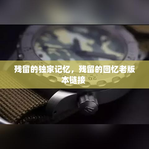 残留的独家记忆，残留的回忆老版本链接 