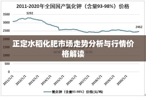 正定水稻化肥市场走势分析与行情价格解读