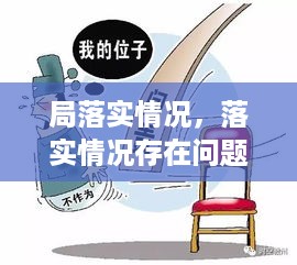 局落实情况，落实情况存在问题 