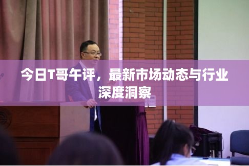 今日T哥午评，最新市场动态与行业深度洞察