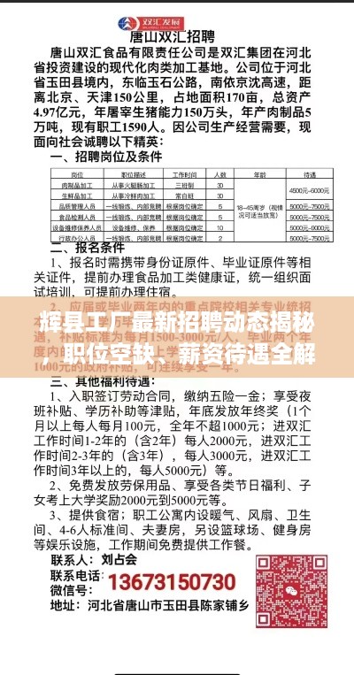 辉县工厂最新招聘动态揭秘，职位空缺、薪资待遇全解析