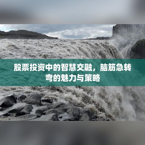 股票投资中的智慧交融，脑筋急转弯的魅力与策略