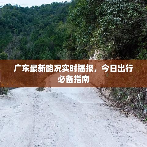 广东最新路况实时播报，今日出行必备指南