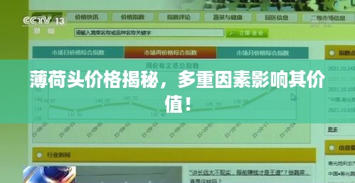 薄荷头价格揭秘，多重因素影响其价值！