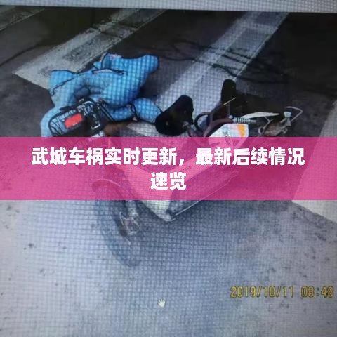 武城车祸实时更新，最新后续情况速览