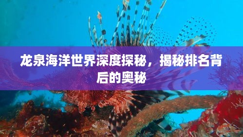 龙泉海洋世界深度探秘，揭秘排名背后的奥秘