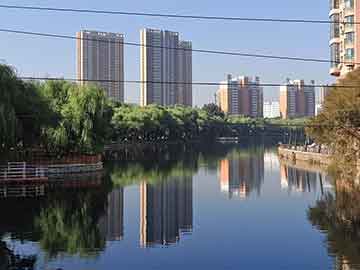 历史上的11月20日，快猫下载地址链接的探讨与观点阐述