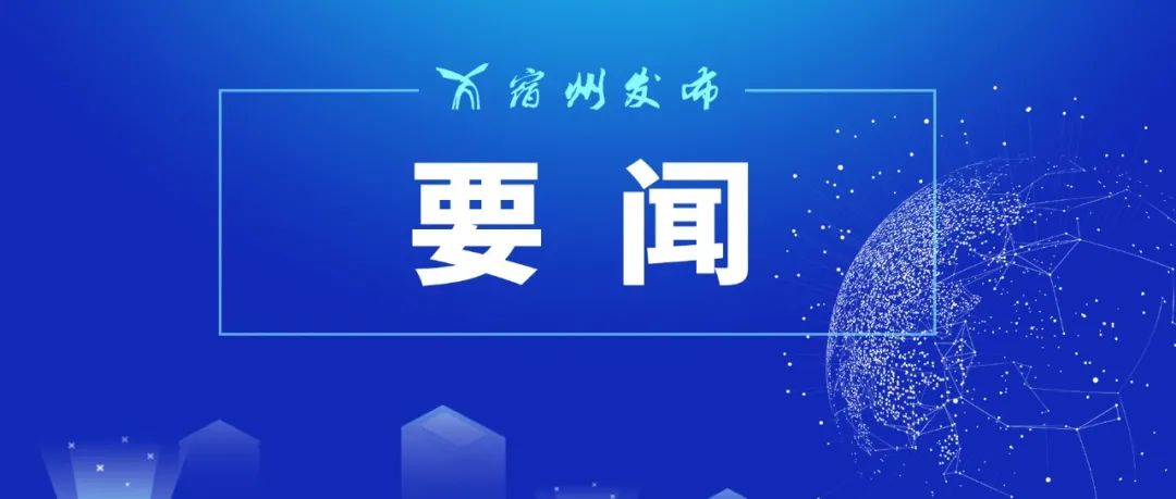 澳彩免费资料大全新奥_徐云丽最新消息,实地分析解释定义_里程碑计划2.19.78