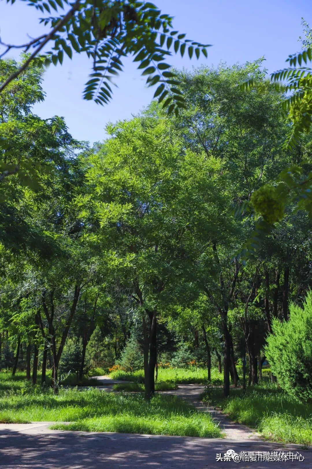 全年资料免费大全资料打开_临夏北塬机场最新消息,最佳实践策略实施_战略版9.27.87