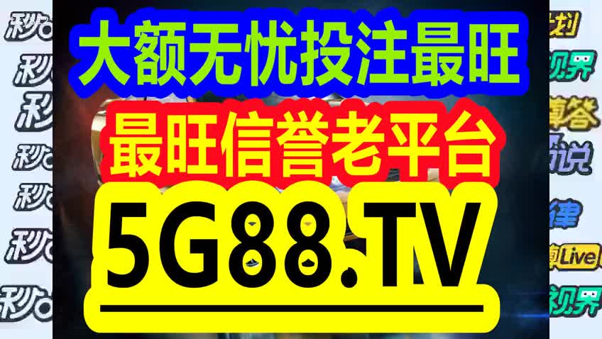 管家婆一码中一肖2024,创新解答执行策略_复刻品84.773