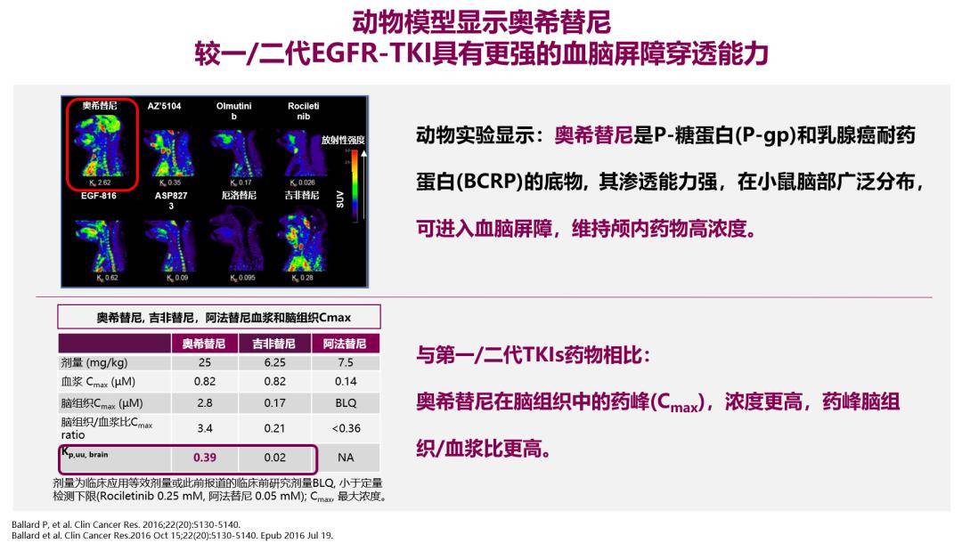 新澳2024资料免费大全版,立即响应策略探讨_精致型14.445