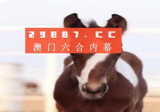 澳门精准一肖一码100%,简化流程落实评估_传媒版31.448