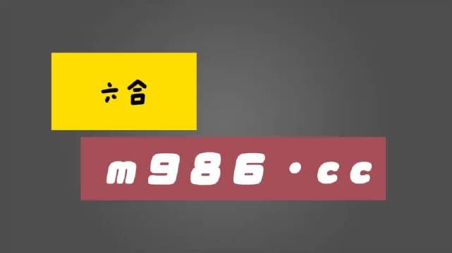 白小姐必中一肖一码100准,逻辑解答解释落实_国行版25.447