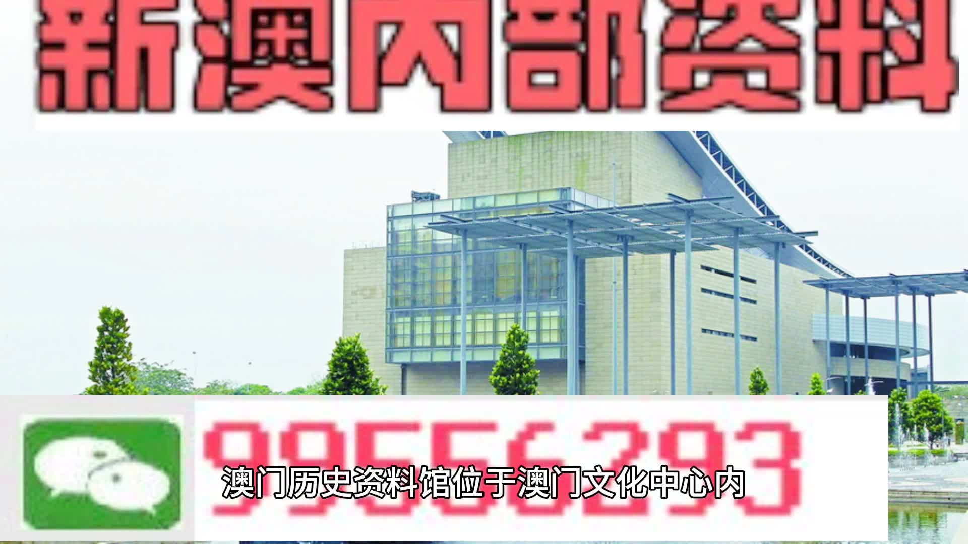 2024年新澳门天天开彩,坚强解答解释落实_社交型91.432