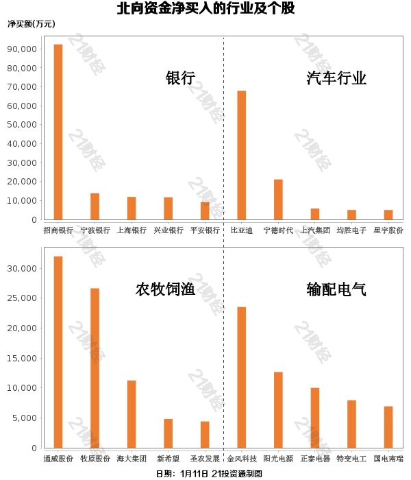 11月6日金枫酒股最新行情，探索自然美景，心灵之旅寻找内心平静