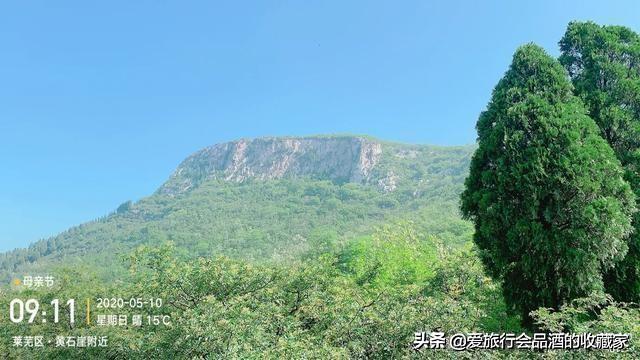 探索鲁地自然风貌，野花绽放之时的最新景象