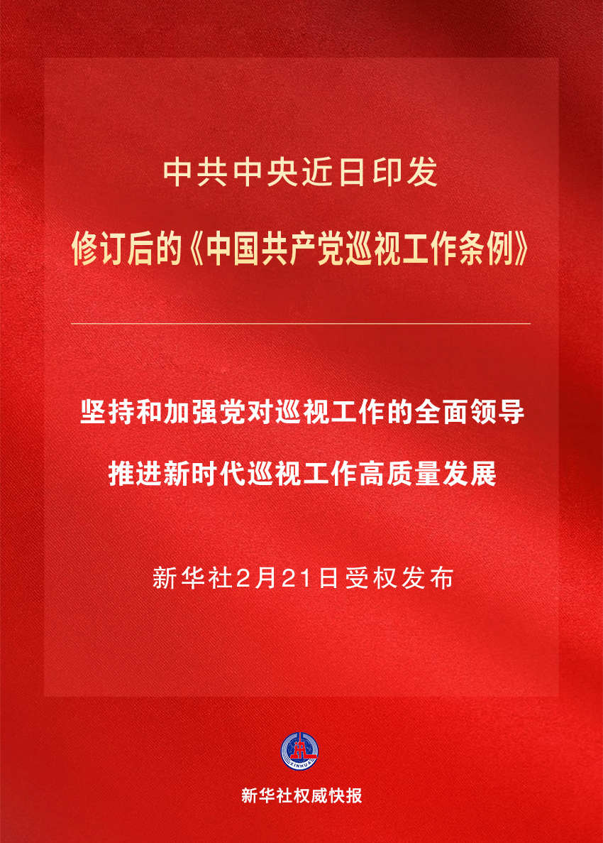 时政中国，11月7日的新篇章概览