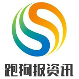 2024新版跑狗图库大全,安全策略评估_预备版AZW336.4