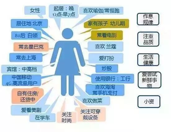 2024新澳最精准资料,综合数据说明_影音版JCO314.07