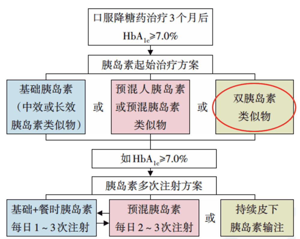 2024澳新资料大全免费下载：权威解答与视频教程GYB395.17