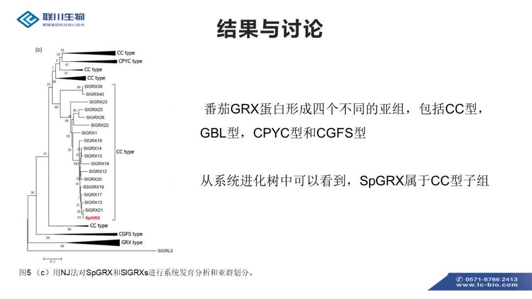 2024新奥精准资料免费大全,标准执行具体评价_授权版1.63.323