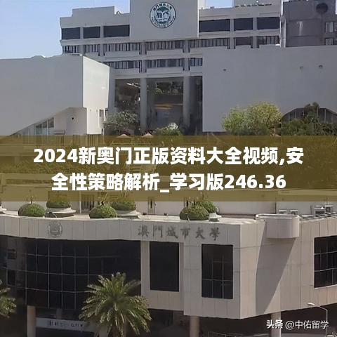 2024新奥门正版资料大全视频,安全性策略解析_学习版246.36